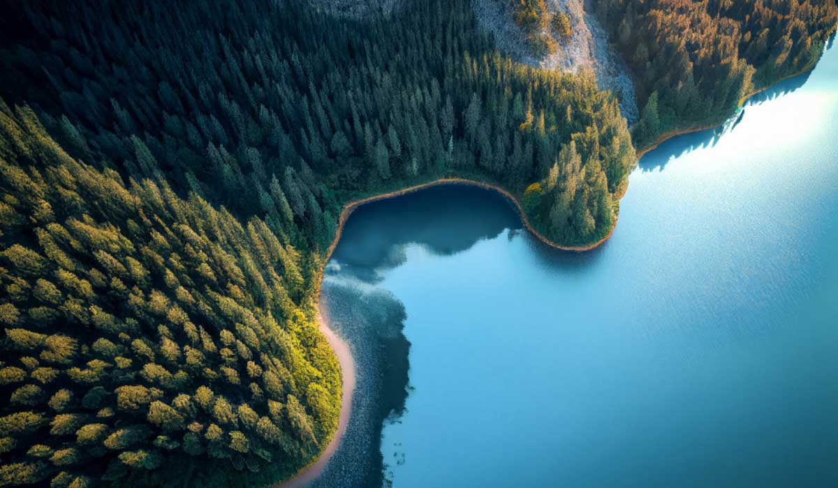 International Relations